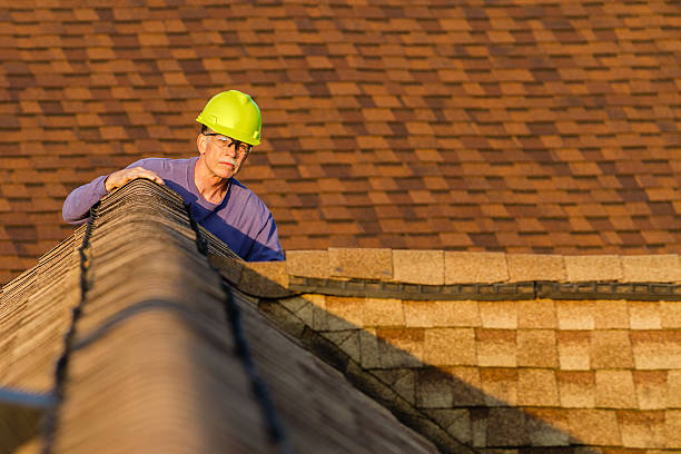 Best Roof Gutter Cleaning  in Homewood, AL