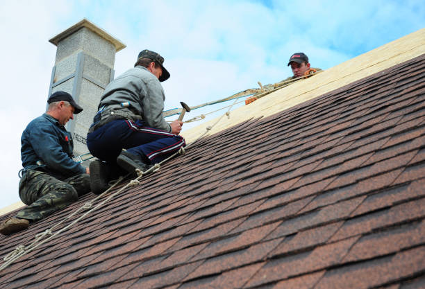 Best Roof Maintenance Services  in Homewood, AL